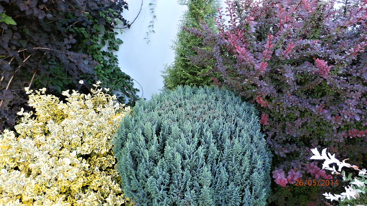 P5260088