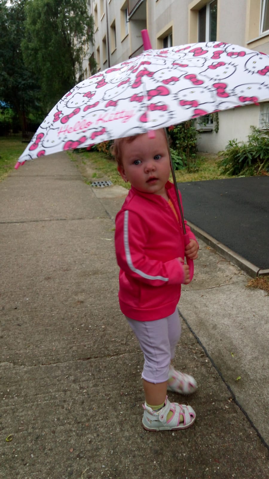 IMG-20180601-WA0001